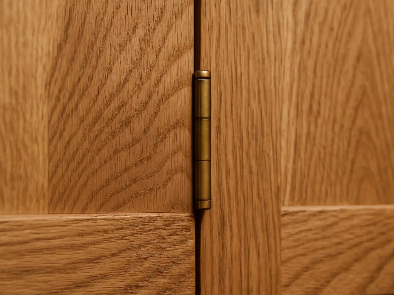 Close-up of a brass hinge on two wooden cabinet doors with visible grain patterns